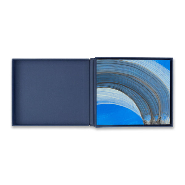 Howard Hodgkin: Paintings (Deluxe Edition) rare book in clamshell box