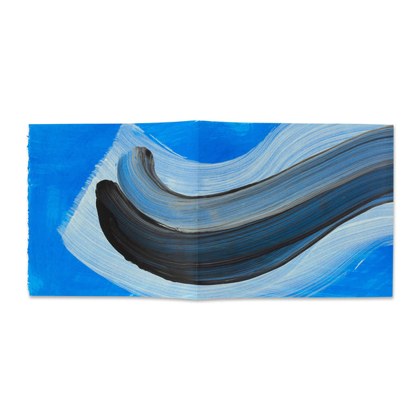 Cover spread of Howard Hodgkin: Paintings (Deluxe Edition) rare book