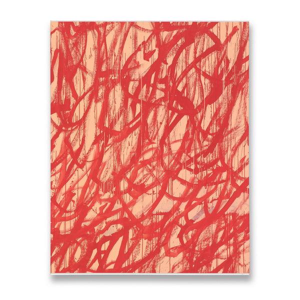 Slipcase of the book Cy Twombly, published in 2016