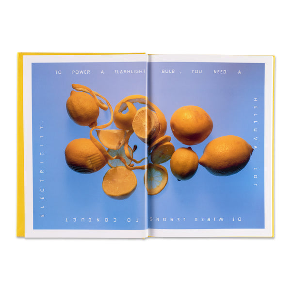 Interior spread of Ruthie Rogers and Ed Ruscha: Squeeze Me: Lemon Recipes & Art  book