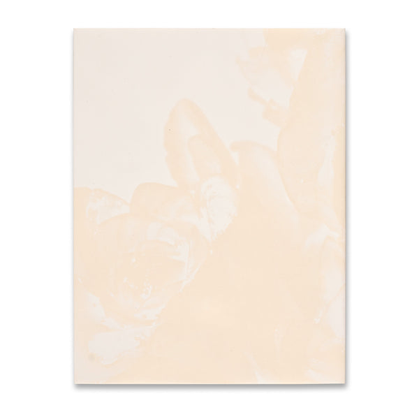 Back cover of the book Setsuko: Into Nature