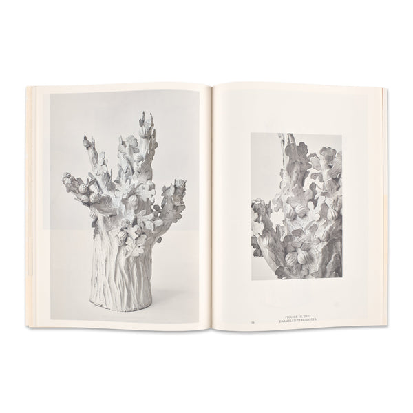 Interior spread of the book Setsuko: Into Nature