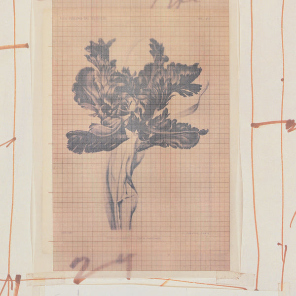 Detail of Cy Twombly: Paintings and Drawings 1954–1977 rare poster