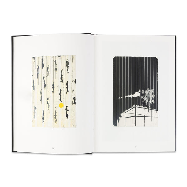 Interior spread of the book Harold Ancart: Soft Places