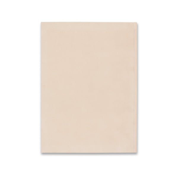 Back cover of the book Louise Bonnet: Recent Paintings