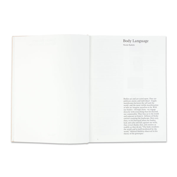 Interior spread of the book Louise Bonnet: Recent Paintings