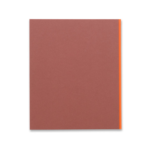 Back cover of the book Caro and North American Painters