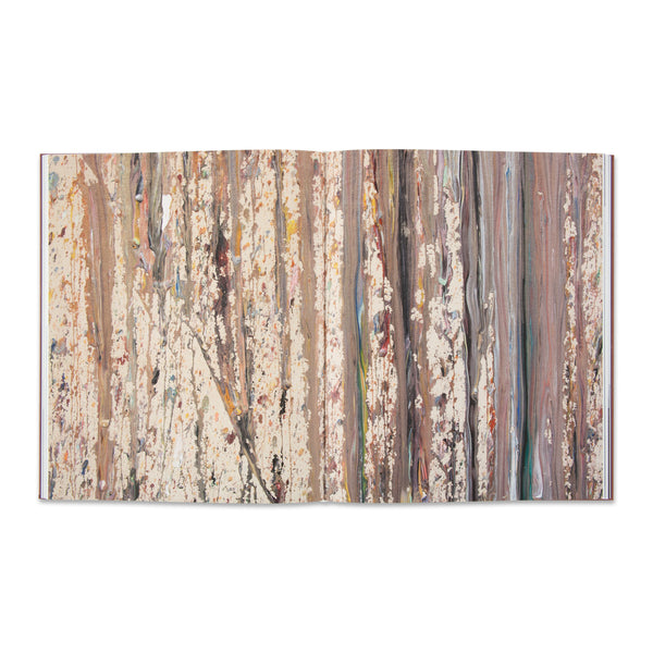 Interior spread of the book Caro and North American Painters