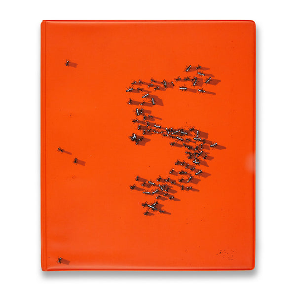 Cover of Documenta 5 book