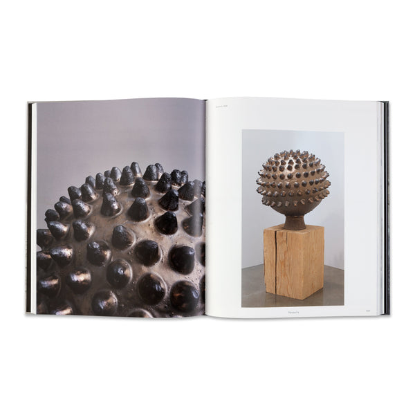 Interior spread of the book Theaster Gates: Young Lords and Their Traces