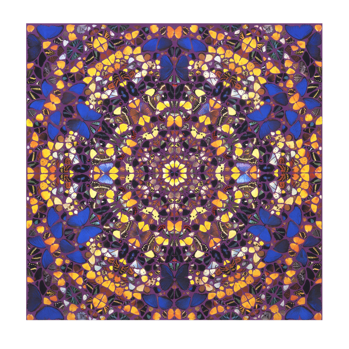 アート・デザイン・音楽 Damien Hirst Damien Hirst: Cathedral, Notre-Dame Print | Gagosian Shop