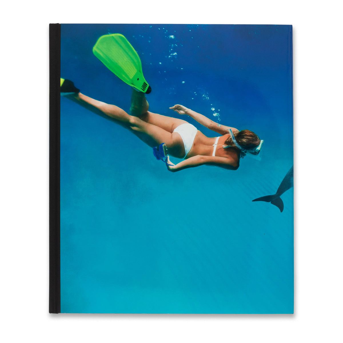 Damian Hirst アートブック(ポスター2枚付) Damien Hirst: Fact Paintings and Fact Sculptures Book | Gagosian Shop