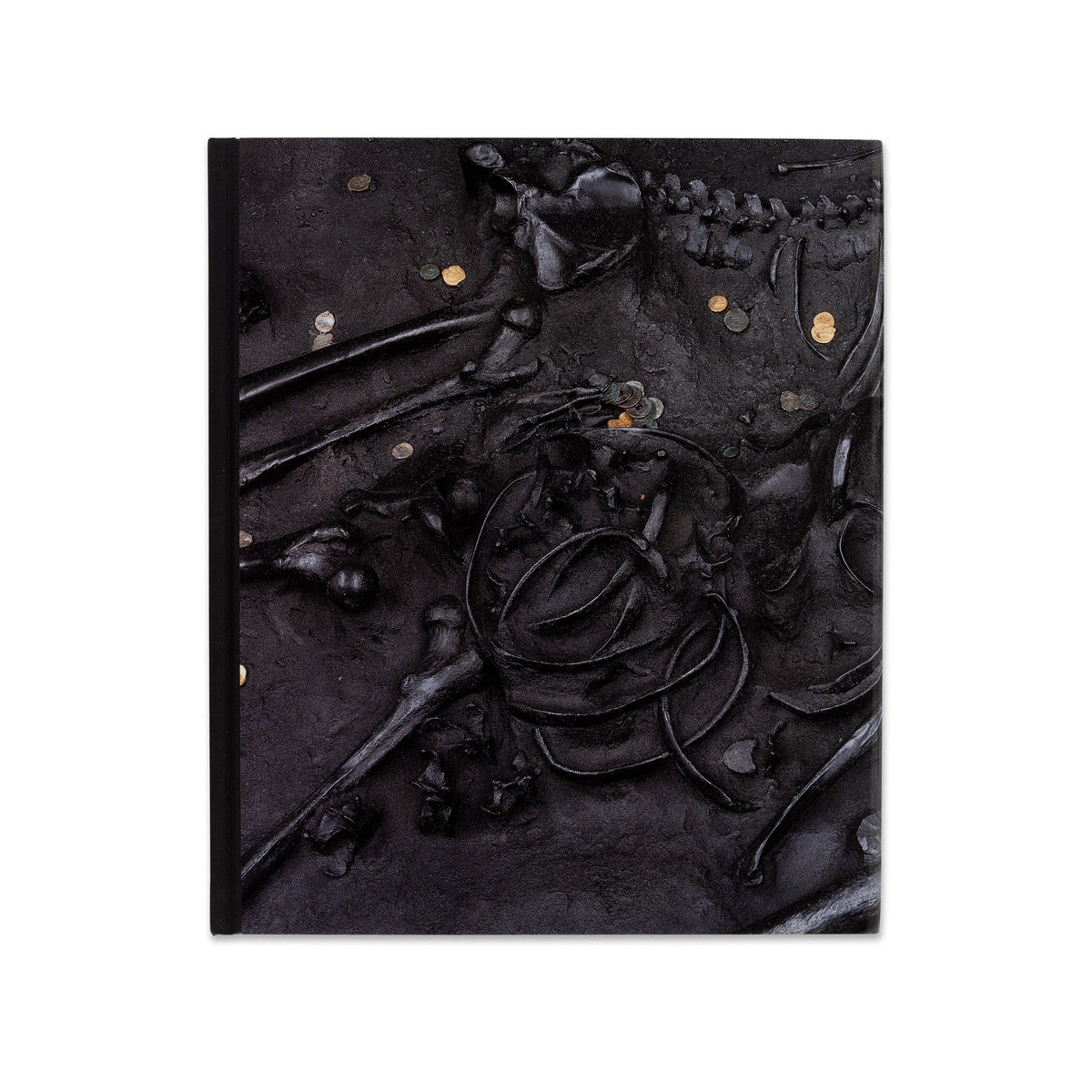 Damien Hirst: Relics and Fly Paintings Book | Gagosian Shop