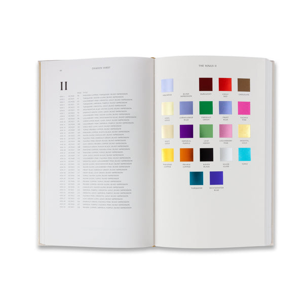 Interior spread of the rare book Damien Hirst: The Souls