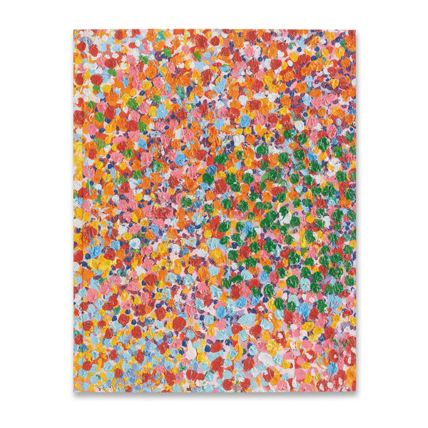 Cover of the book Damien Hirst: The Veil Paintings