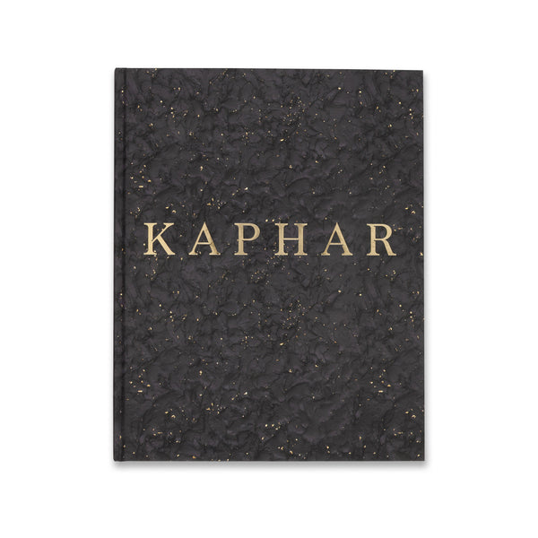 Cover of the book Titus Kaphar: Language of the Forgotten