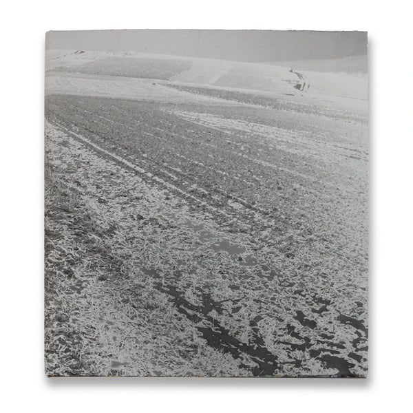 Silver gelatin photographic print dust jacket of Anselm Kiefer book