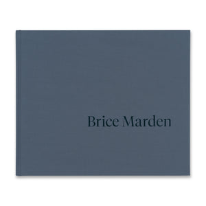 Cover of the book Brice Marden: It reminds me of something, and I don’t know what it is.