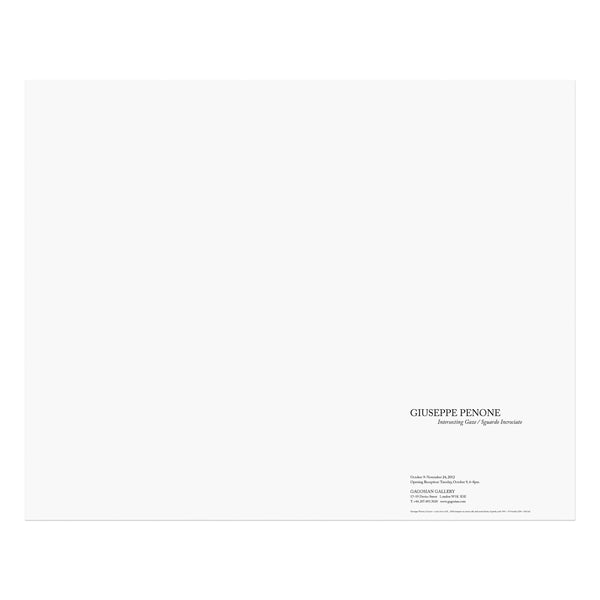 Back of Giuseppe Penone: Intersecting Gaze / Sguardo incrociato poster