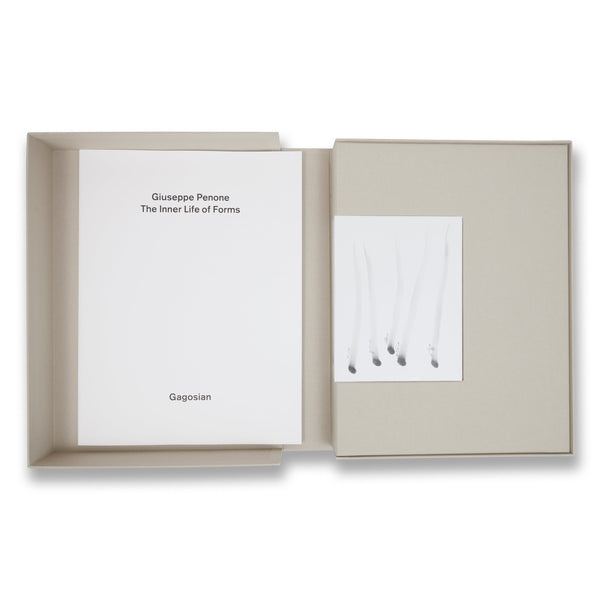 Giuseppe Penone: Identity (Black) print in clamshell box