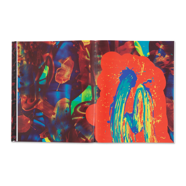 Interior spread of the book David Reed