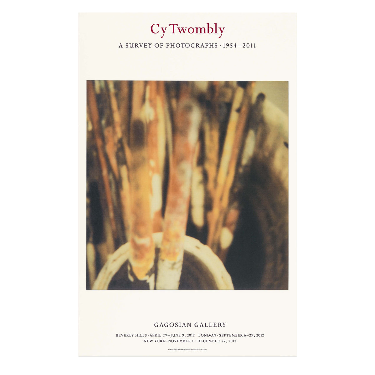 Cy Twombly: A Survey of Photographs, 1954–2011 Poster | Gagosian Shop