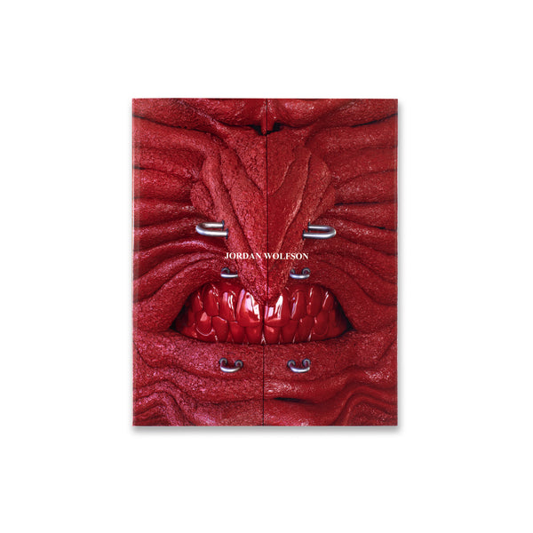 Cover of Jordan Wolfson, Kunsthaus Bregenz book with dust jacket