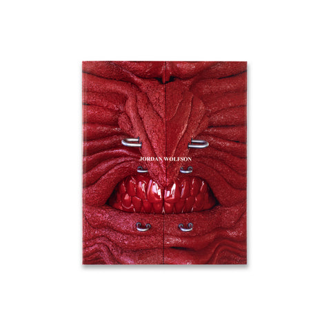 Sterling Ruby: PARIS Book | Gagosian Shop