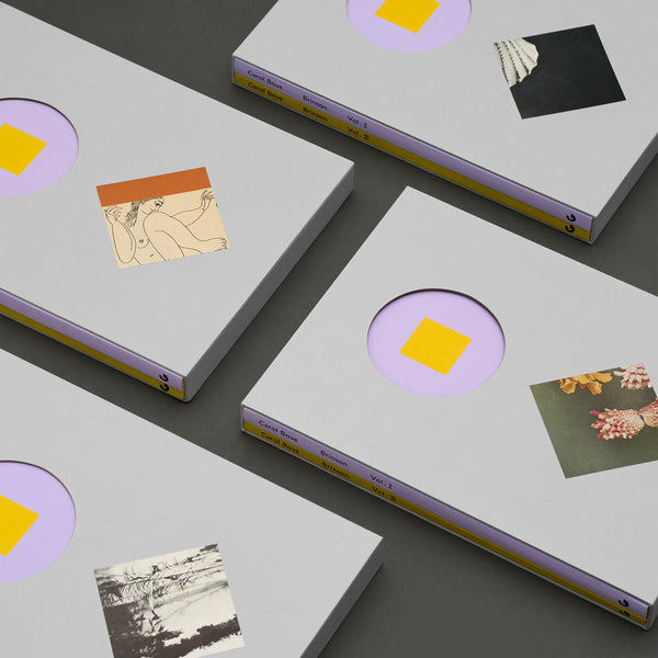 Detail of Carol Bove Guggenheim books