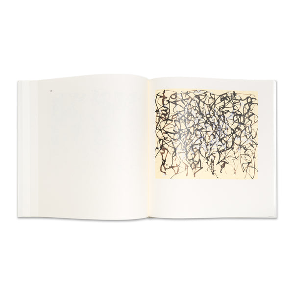 Interior spread of Brice Marden: Cold Mountain Studies book
