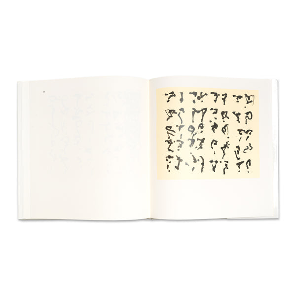 Interior spread of Brice Marden: Cold Mountain Studies book