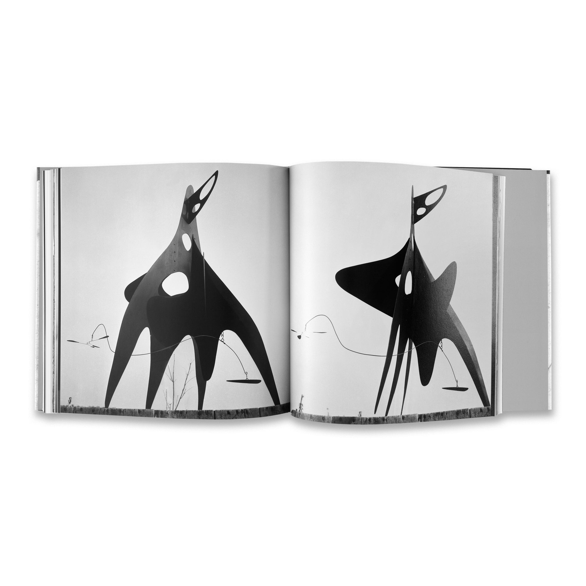 CALDER INTIME アートブック CALDER INTIME アートブック CALDER INTIME アートブック CALDER