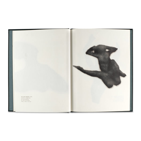 Interior spread of Richard Artschwager 2002 book