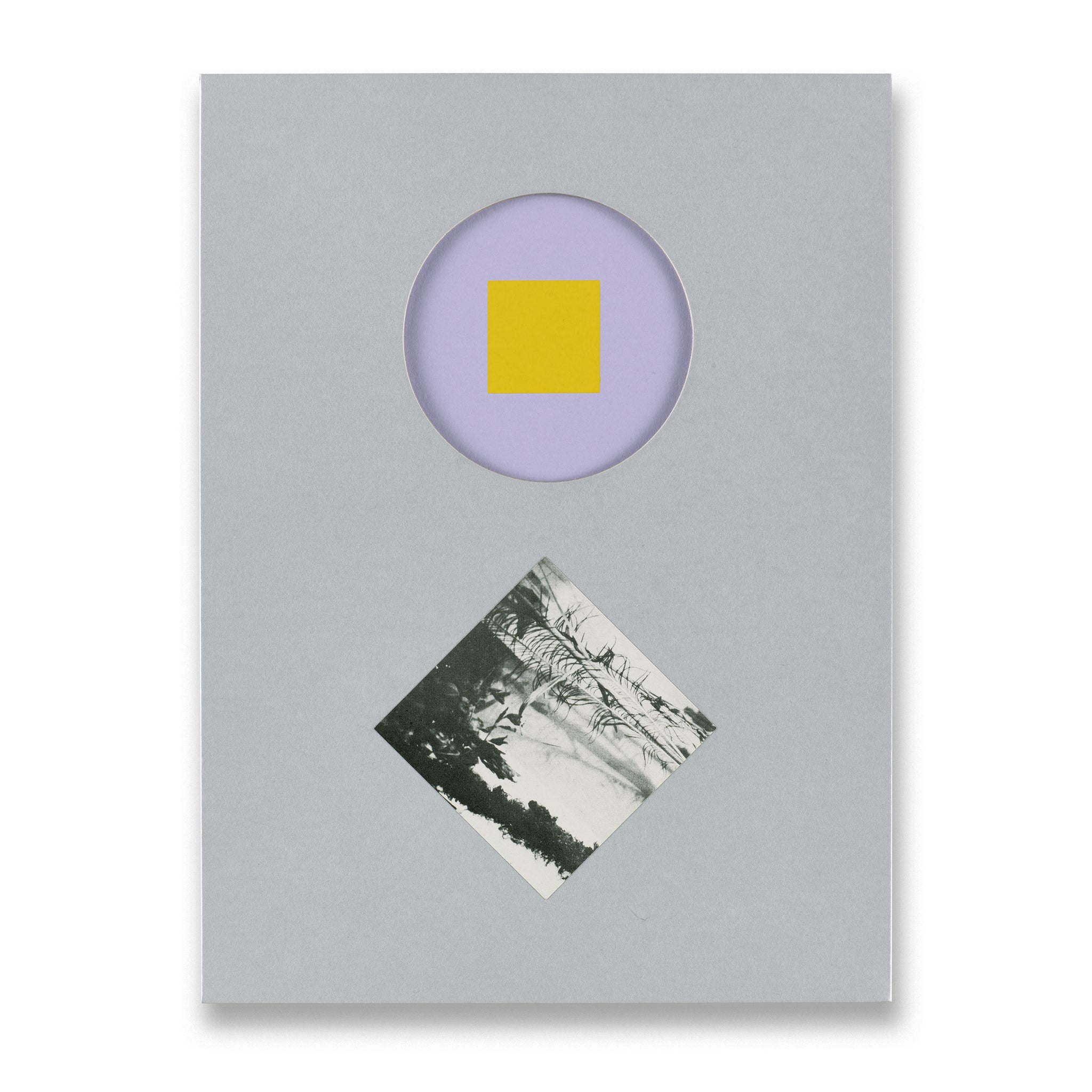 Jonas Wood: Clippings Book | Gagosian Shop