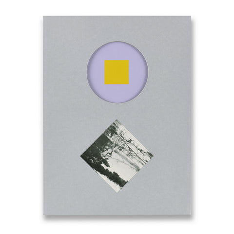Cage: Six Paintings by Gerhard Richter Book | Gagosian Shop