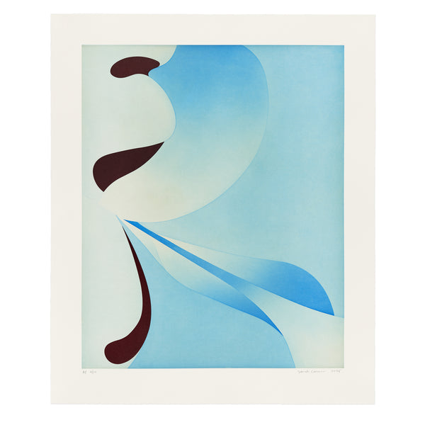 Sarah Crowner: Rotated Skyline print