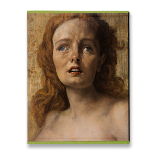 Slipcase back cover of the John Currin monograph