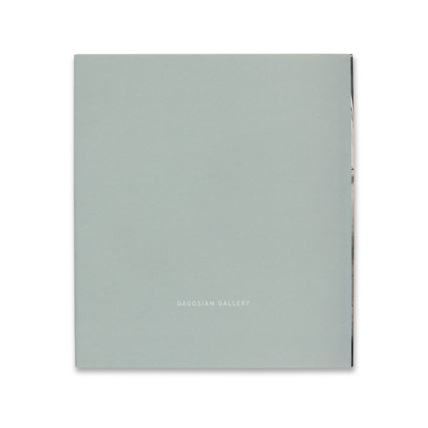 Back cover of Willem de Kooning: The Last Beginning book