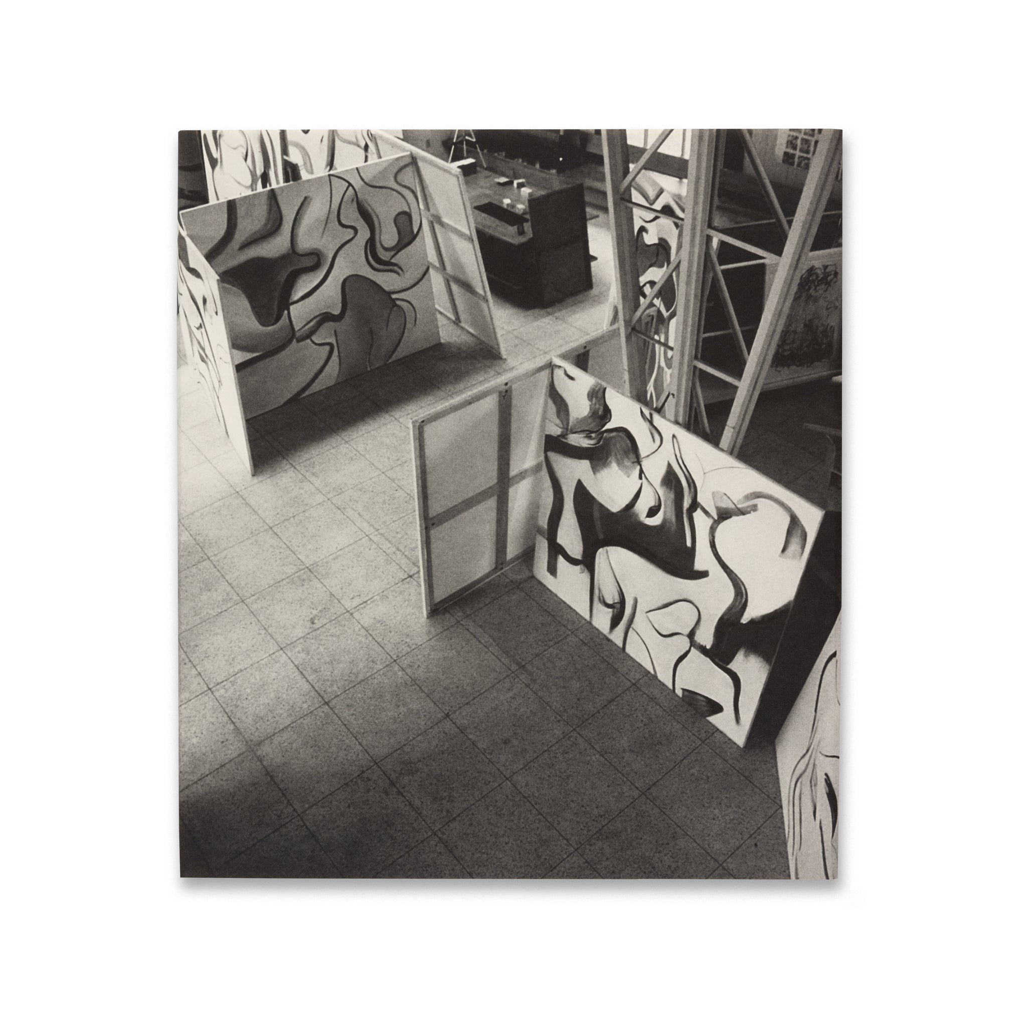 Front cover of Willem de Kooning: The Last Beginning book with dust jacket