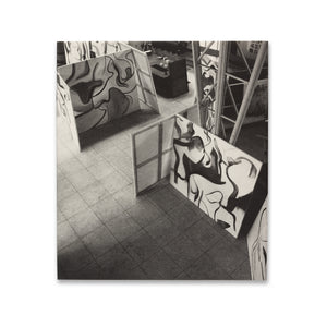 Front cover of Willem de Kooning: The Last Beginning book with dust jacket