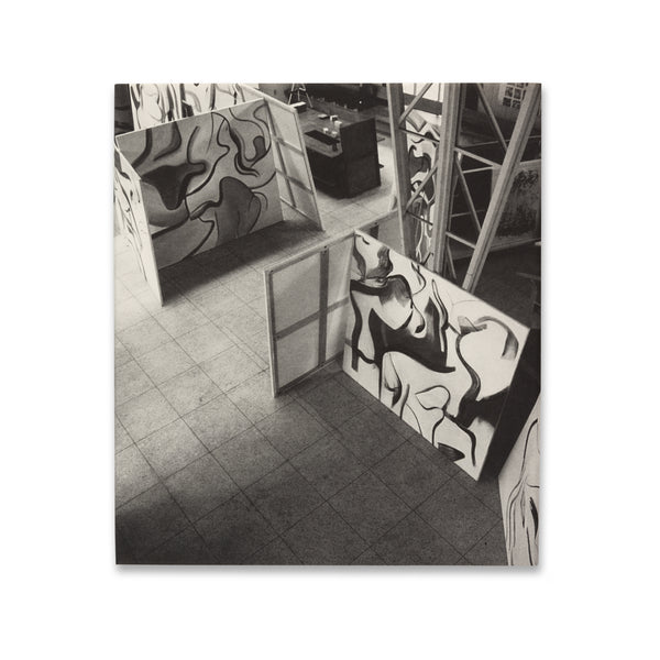 Front cover of Willem de Kooning: The Last Beginning book with dust jacket