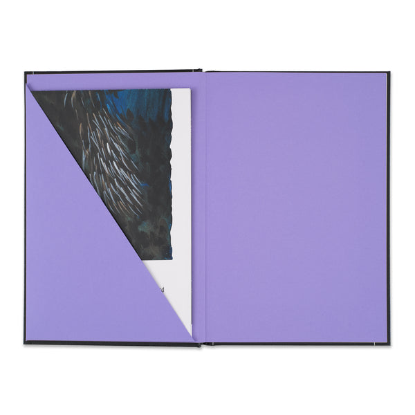 Inside the cover of The Godmother book