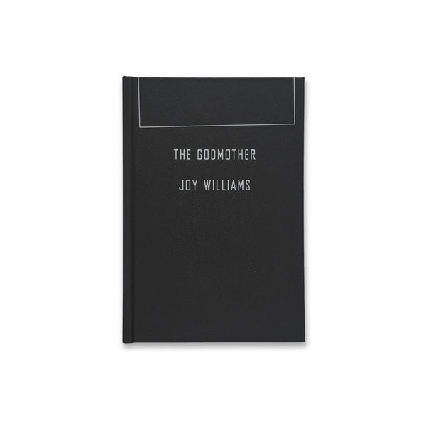 Cover of the book The Godmother by Joy Williams and Walton Ford