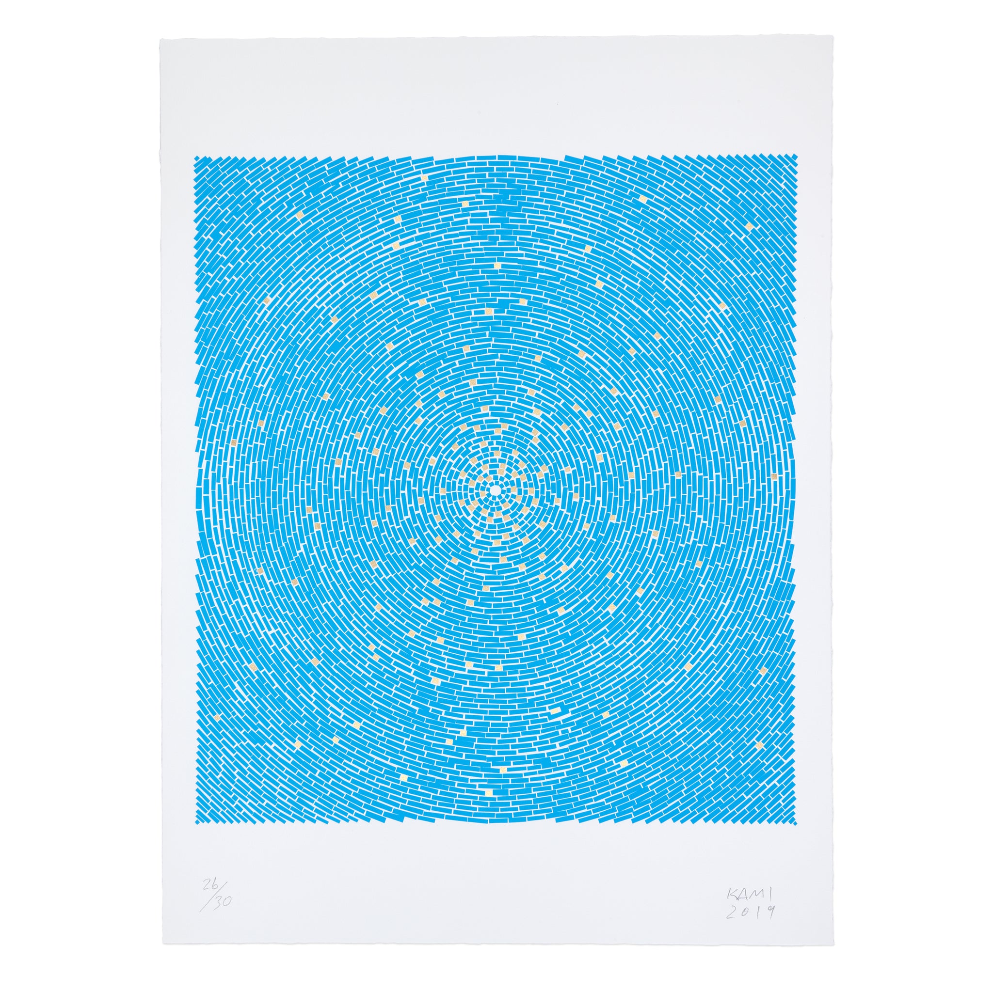 Y.Z. Kami: Blue Dome print