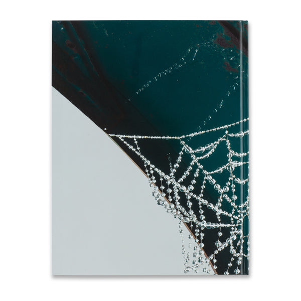 Back cover of Kathleen Ryan book