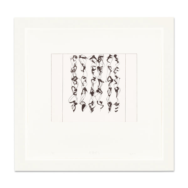 Brice Marden: #3 print in frame