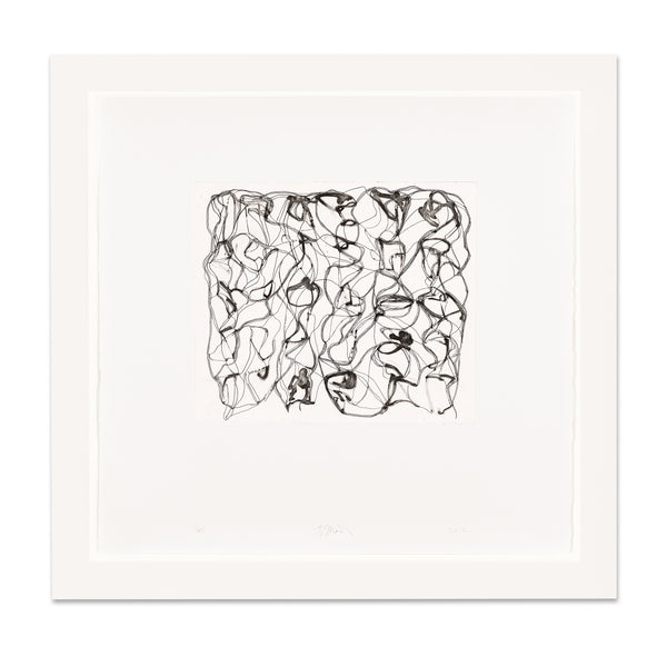 Brice Marden: #8 print in frame