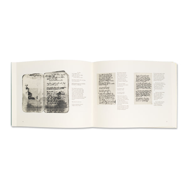 Interior spread of Brice Marden: The Grove Group book