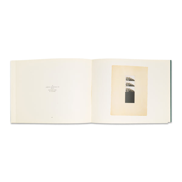 Interior spread of Brice Marden: The Grove Group book