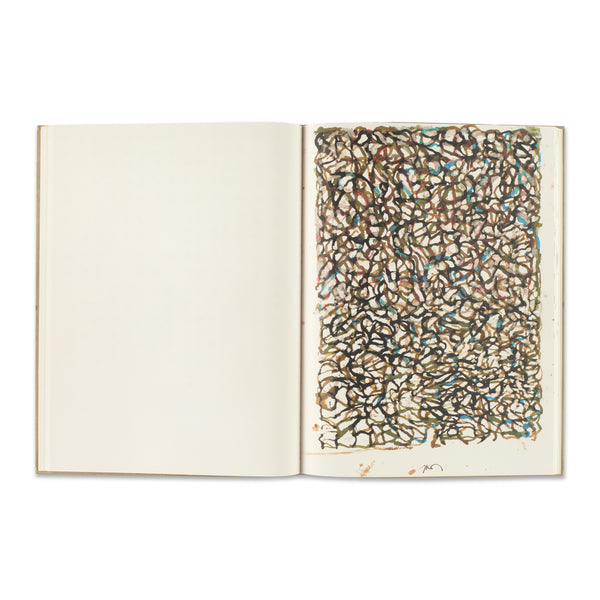 Interior spread of the book Brice Marden, published in 2019